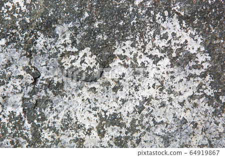 Stone texture in soft sunlight in springtime Stone texture in soft sunlight in springtime 64919867