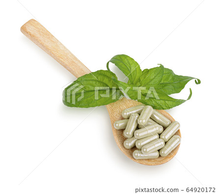 Andrographis Paniculata fresh herbs, plants and capsules in a wooden spoon Isolated on white background Andrographis Paniculata fresh herbs, plants and capsules in a wooden spoon Isolated on white background 64920172
