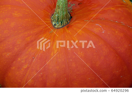 Orange pumpkin squash unknown variety Orange pumpkin squash unknown variety 64920296