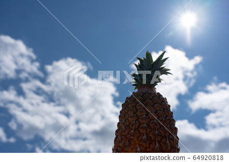 Snack pine pineapple blue sky 64920818