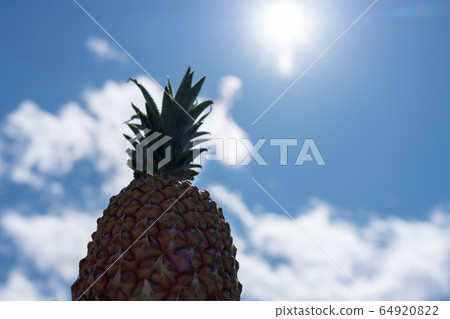 Snack pine pineapple blue sky Snack pine pineapple blue sky 64920822
