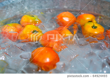 夏季番茄[岐阜縣] 64924493