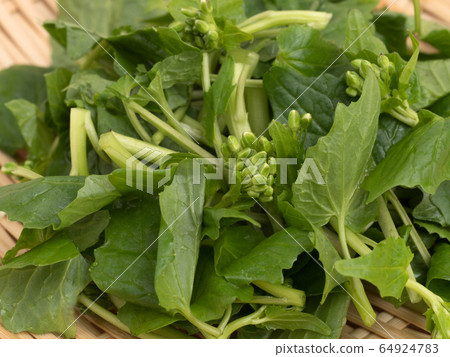 Cut flower wasabi Cut flower wasabi 64924783