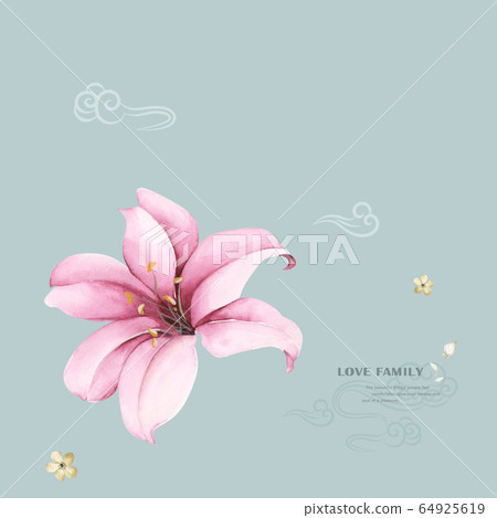 Colorful floral material combinations and design elements Colorful floral material combinations and design elements 64925619