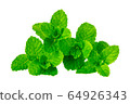 Fresh spearmint leaves close up isolated  64926343