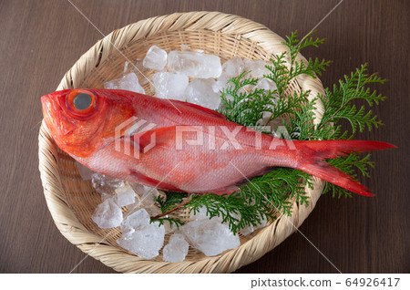 Kinmedai, japanese fresh whole red snapper Kinmedai, japanese fresh whole red snapper 64926417