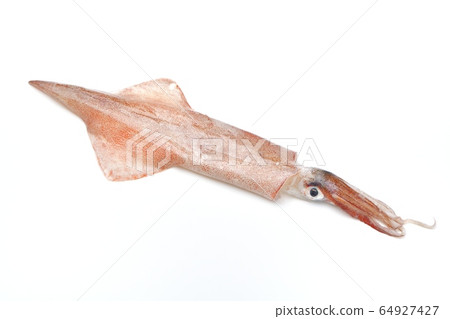 Domestically produced "squid". For fresh sashimi OK, squid, squid, squid, seafood. Uncooked and unheated. 64927427