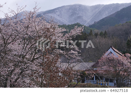 Satoyama Rural Scenery Scenery with Sakura Fukudagashira 64927518