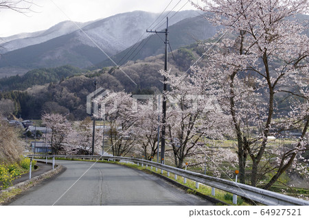 Satoyama Rural Landscape Sakura Landscape Fukudagasa Satoyama Rural Landscape Sakura Landscape Fukudagasa 64927521