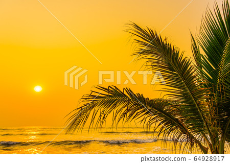 Beautiful nature with palm tree around sea ocean beach at sunset or sunrise Beautiful nature with palm tree around sea ocean beach at sunset or sunrise 64928917