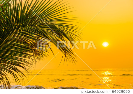 Beautiful nature with palm tree around sea ocean beach at sunset or sunrise Beautiful nature with palm tree around sea ocean beach at sunset or sunrise 64929090