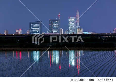 uma玉縣新都心夜沼稻田 64931663