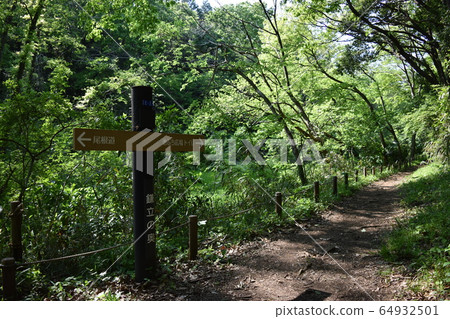 新治市民的森林 64932501