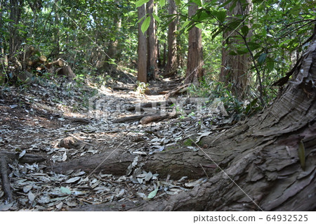 山路 山路 64932525
