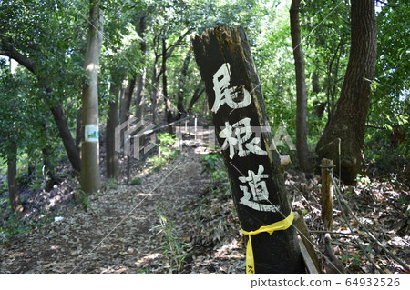山脊 64932526
