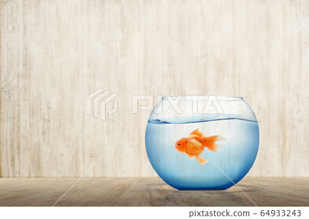 Goldfish in the fishbowl 64933243