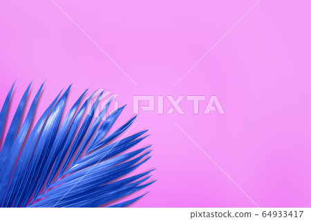 Palm leaves in vibrant color 64933417