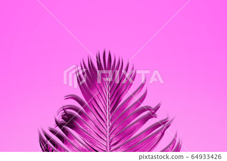 Palm leaves in vibrant color Palm leaves in vibrant color 64933426