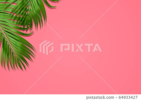 Palm leaves in vibrant color Palm leaves in vibrant color 64933427