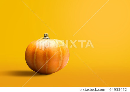 Pumpkin in vibrant color Pumpkin in vibrant color 64933452