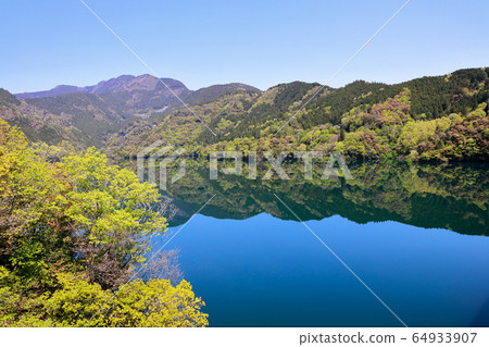 鏡面反射 64933907