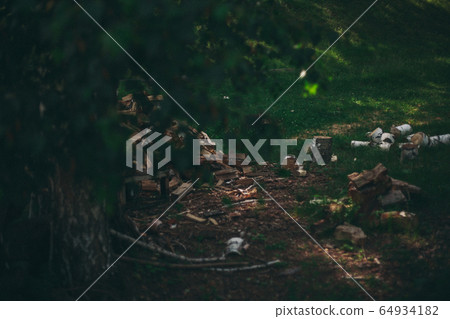 prepared firewood for the winter and an axe. dry fallen trees on the ground. Sawmill, woodworking industry, construction 64934182