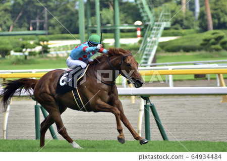 The last exciting straight line Horse racing, enthusiastic strikes 64934484