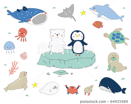 Cute animals in the aquarium Cute animals in the aquarium 64935989