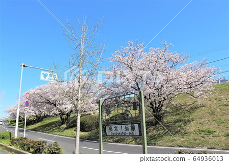 仙北高鐵/小名池站周邊 64936013
