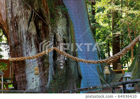 Oosugi Oosugi 64936410