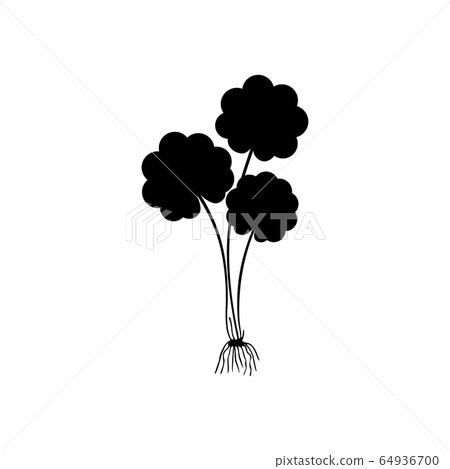 Gotu kola - medicinal plant. Centella Asiatica which is known as Gotu Kola isolated on white background vector illustration. Asiatic pennywort Gotu kola - medicinal plant. Centella Asiatica which is known as Gotu Kola isolated on white background vector illustration. Asiatic pennywort 64936700