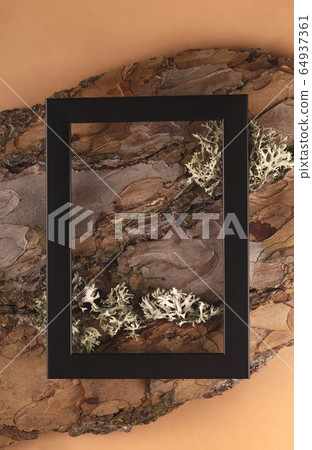 Tree bark texture as a part of natural background Tree bark texture as a part of natural background 64937361