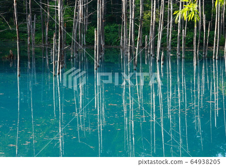 Shirokane Blue Pond Hokkaido Shirokane Blue Pond Hokkaido 64938205