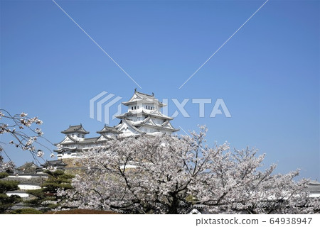 Himeji Castle "From Nishinomaru" 64938947