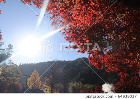 Korankei (autumn leaves daytime) Korankei (autumn leaves daytime) 64939037