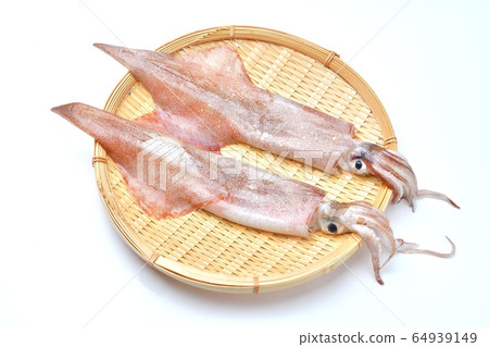 國產“烏賊”。對於新鮮的生魚片可以，魷魚，魷魚，魷魚，海鮮。未經煮熟和未加熱。 64939149