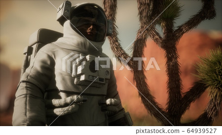 Astronauth in the high desert of Nevada 64939527