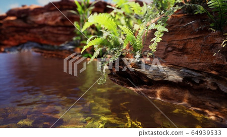 tropical golden pond with rocks and green plants tropical golden pond with rocks and green plants 64939533