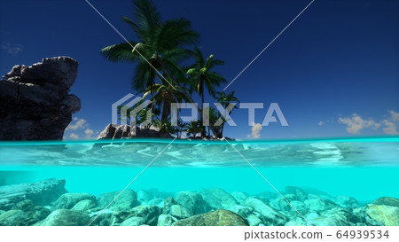 Split view cross section of sea water and palm 64939534