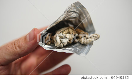 Strains of psilocybin mushrooms close-up Strains of psilocybin mushrooms close-up 64940385