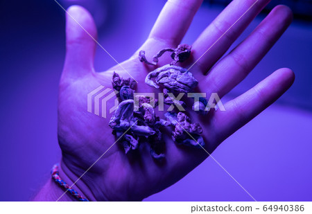 Biohacking and brain development with magic Biohacking and brain development with magic 64940386