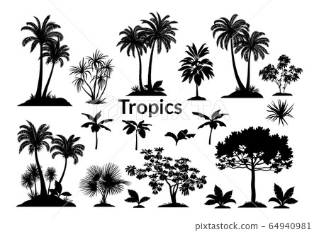 Palm Trees and Plants Silhouettes 64940981