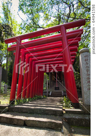 Torii 64941598