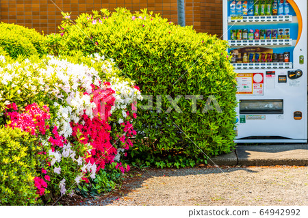Scenery with vending machines Spring residential area 64942992