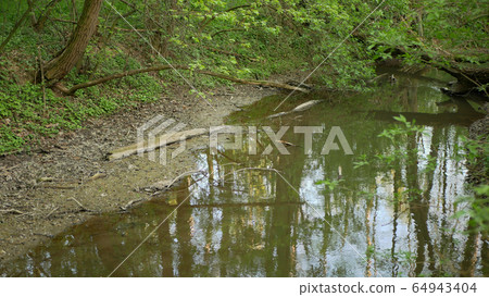 Drought and drying river Morava water, dry up the soil cracked, a summer eutrophication climate change, environmental disaster, lack of oxygen for the growth of cyanobacteria algae, death plants Drought and drying river Morava water, dry up the soil cracked, a summer eutrophication climate change, environmental disaster, lack of oxygen for the growth of cyanobacteria algae, death plants 64943404