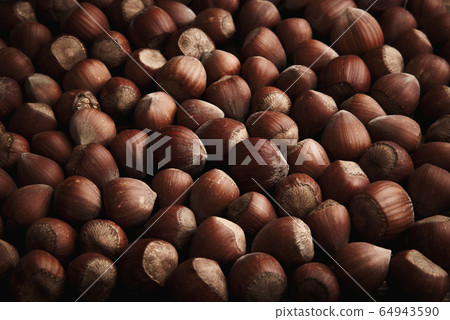 Fresh organic filbert. Hazelnuts background and texture. Fresh organic filbert. Hazelnuts background and texture. 64943590