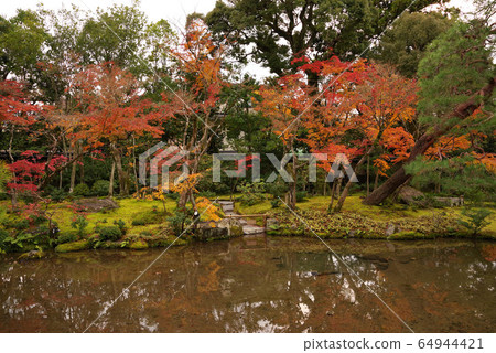 Autumn leaves without scratches 64944421