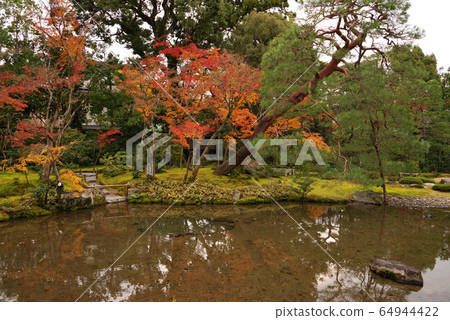 Autumn leaves without scratches 64944422