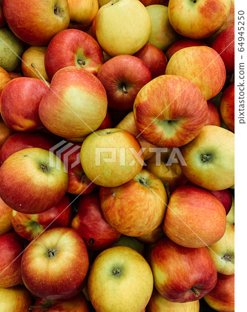 lots of ripe fruit apples for cooking as a background lots of ripe fruit apples for cooking as a background 64945250