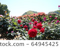 Kawarakan rose garden 64945425